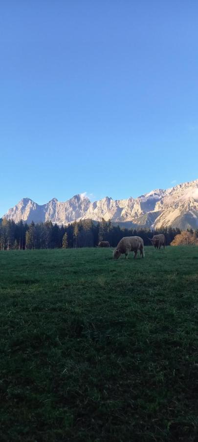 Appartement Landhaus-Konigsberg, Vorberg 360 à Ramsau am Dachstein Extérieur photo